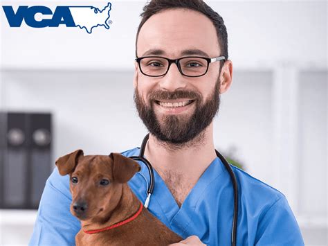 reviews vca animal hospital